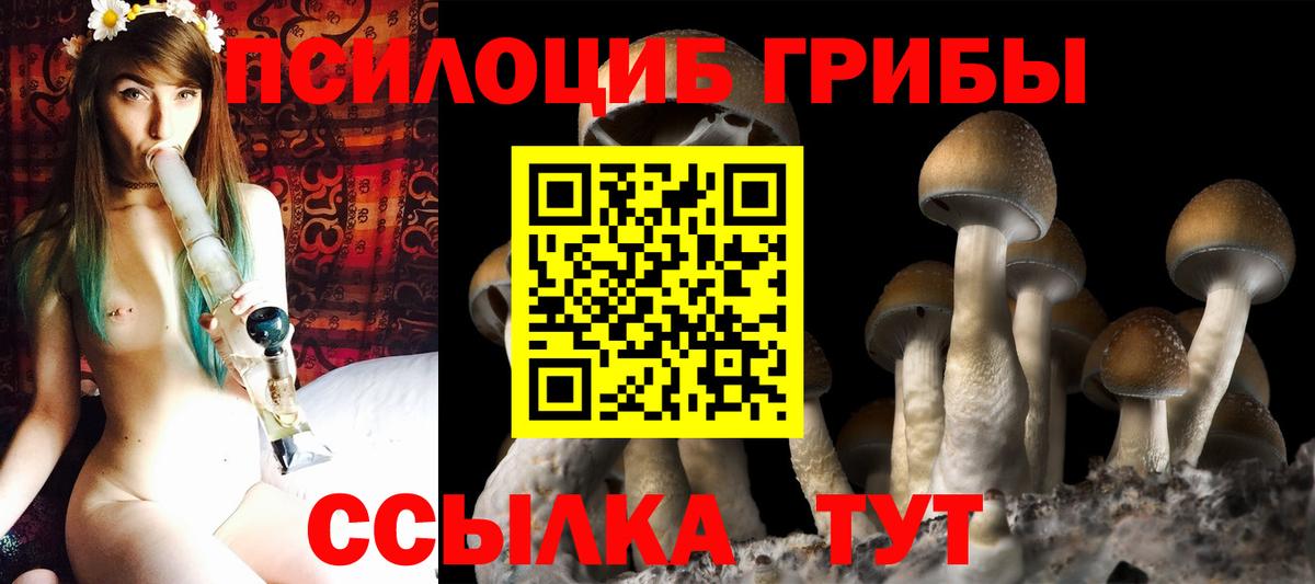 Саянск  Псилоцибиновые грибы ЛСД  Вход с VPN 